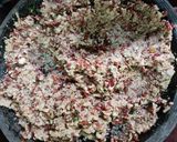 Foto langkah ke 3 dari resep Lentho kacang merah.