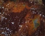 Foto langkah ke 2 dari resep Rendang Ayam.