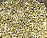 Sprouts recipe step 1 photo