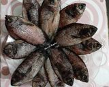 Foto langkah ke 1 dari resep Ikan Tembakang Cabe Hijau Ala Minang (Ikan Cabe Hijau).