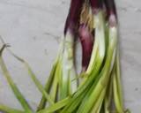 Spring onions sabji recipe step 1 photo