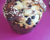 Foto del paso 7 de la receta: Panettone con chip de chocolate