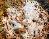 義大利麵簡單蔬菜小煎餅（Spaghetti Fritters)的食譜步驟3照片