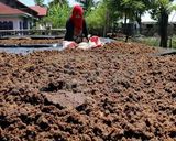 Foto langkah ke 4 dari resep Cara pengolahan patarana (pliek u).