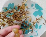 عکس مرحله 2 از دستور آب انگور (حلال🍇)