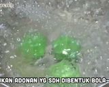 Foto langkah ke 3 dari resep Klepon ketan anti pecah.
