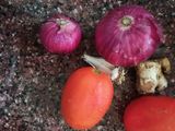 Matar mushroom