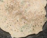 A picture of step 4 of Atta Chilla.