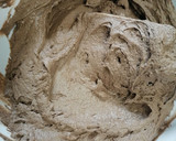 Foto del paso 8 de la receta: Pastel "Hatice"