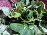 Sayur Asem #21