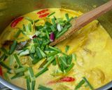 Foto langkah ke 9 dari resep Opor ayam 😊😊.