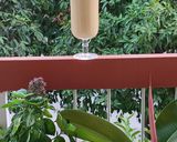 Φωτογραφία βήματος 3 της συνταγής Smoothie με μπανάνα, αβοκάντο και ζαχαρούχο γάλα