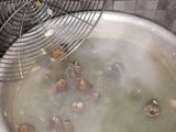 Kerang hijau saus padang