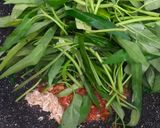 Foto langkah ke 1 dari resep Kangkung Belacan.