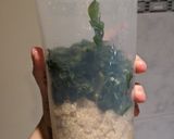 Foto del paso 1 de la receta: 🥬 Bocaditos veganos de acelga, quinoa y chía