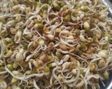 A picture of step 1 of Chinese fried Sprouts.