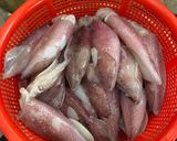 Hình bước làm 2 của món Bún Thái