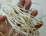 Hình bước làm 1 của món Dưa Giá Hẹ Cà Rốt