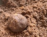 A picture of step 5 of Ragi coconut laddoos.
