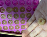 Foto del paso 8 de la receta: Gomitas tipo haribo de cualquier sabor