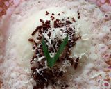 Foto langkah ke 7 dari resep Srabi ayu khas boyolali.