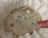 Foto del paso 2 de la receta: XXL🍕🍻PIZZA RELLENA💣🍕🍷🍕XXL💣😍🍕🍻🍕😉