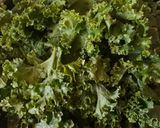 Foto langkah ke 1 dari resep Kale Chips.