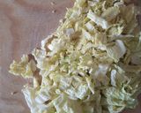 A picture of step 6 of Mushroom and Cabbage Pie.