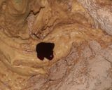 Foto del paso 6 de la receta: Red velvet cake