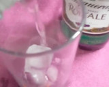 Foto del paso 3 de la receta: Gin-Tonic