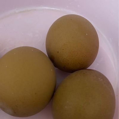 Langkah 7