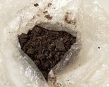 Foto del paso 5 de la receta: Cupcakes de Oreo