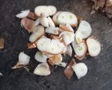 Hình bước làm 3 của món Canh cải thịt nạc tái chế từ thịt rang♻
