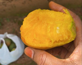 A picture of step 2 of Mango.