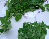 A picture of step 1 of Drum Stick Leaves/Moringa/Munagaku - Fritters.