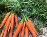Une image de l'étape 3 de Chorba 🥕🌶️ langue d'oiseau #ramadan.