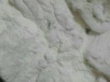 صياديه بسمك الفيليه