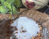صورة لخطوة 8 من وصفة كيك التفاح والقرفة 🍎🍎🍎🍎🍎German Apple cake