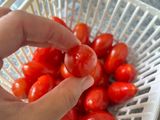 Cà chua bi ngâm nước mơ