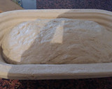Foto del paso 6 de la receta: Hogaza de pan rústico