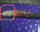 মানকচু ভর্তা রেসিপির ধাপ 1 ছবি