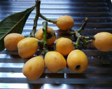 Foto del paso 1 de la receta: Requesón con nísperos y Chía