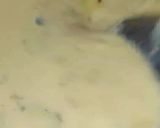 मिनी रसमलाई(mini rasmalai recipe in hindi) रेसिपी चरण 2 फोटो
