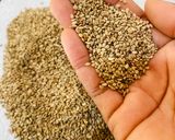 A picture of step 1 of Homemade Dark Sesame Tahini.