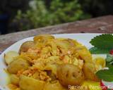 Dupiazeh sibzamini دوپیازه سیب زمینی یا دوپیازه آلو recipe step 14 photo