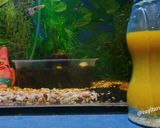 Foto langkah ke 3 dari resep Tropical Overnight.