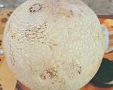 A picture of step 2 of Musk Melon🍈and lemon juice (Kharbuj sharbat recipe).