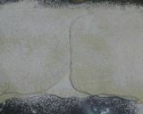 Foto del paso 7 de la receta: Pastelitos Criollos