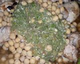 A picture of step 4 of Hara Chicken Chana Pulao.