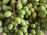 لواشک چند میوه